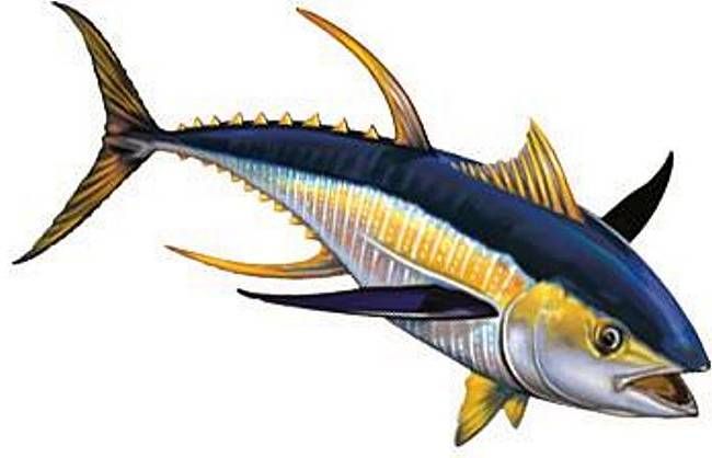 650x418 Related Image Painting Ideas Paintings