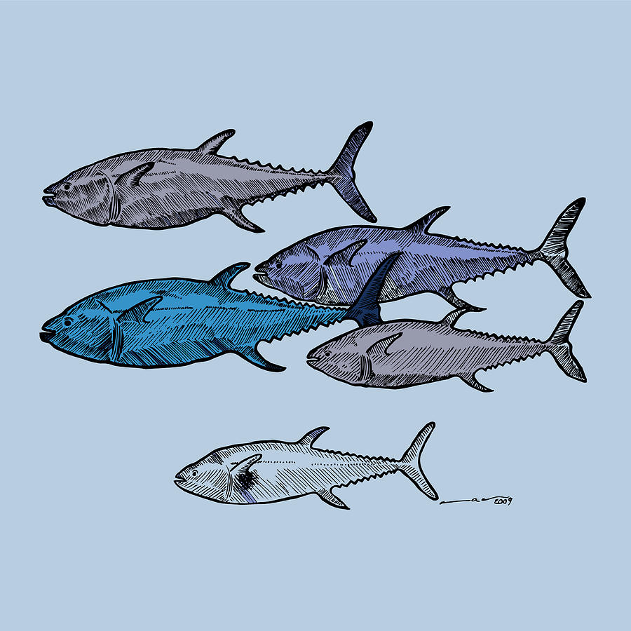 900x900 Tuna School Of Fish Drawing By Karl Addison