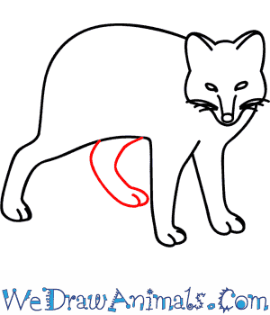 300x350 How To Draw An Arctic Fox