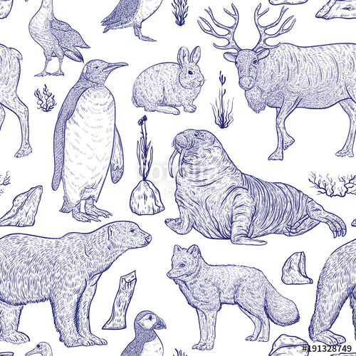 500x500 Seamless Pattern With Arctic Animals. Snowy Arctic Hare, Arctic