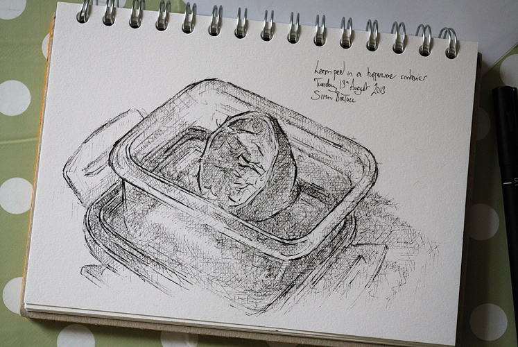 747x500 Lemon Peel In A Tupperware Container, 13 August 2013 Drawing