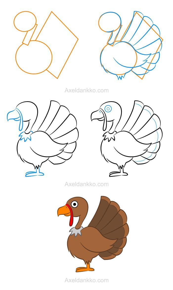 700x1175 Learning How To Draw A Turkey Is Quite Easy When You Have Access