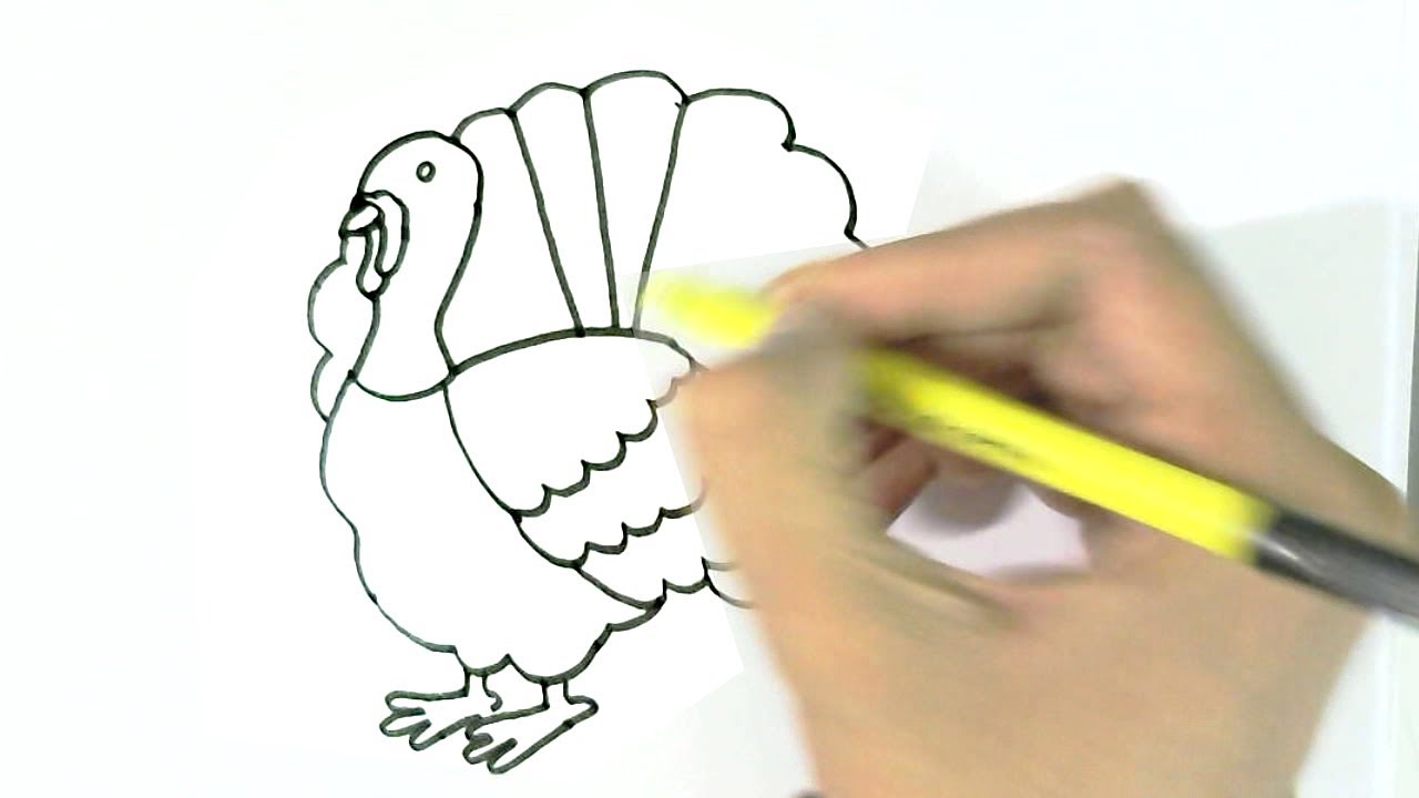 1280x720 How To Draw Turkey In Easy Steps For Children, Kids, Beginners