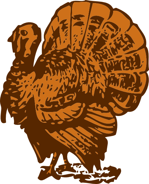 486x598 Brown Turkey Drawing Clip Art