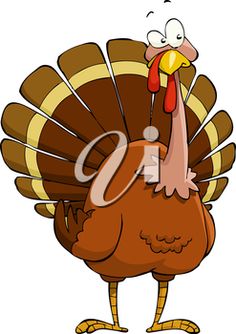 236x334 Pictures Of Funny Turkeys Happy Thanksgiving Images Funny