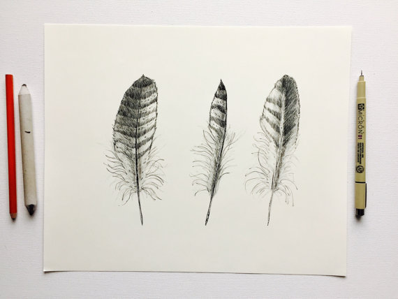 570x428 Turkey Feather Art Original Detailed Ink And Charcoal Drawing