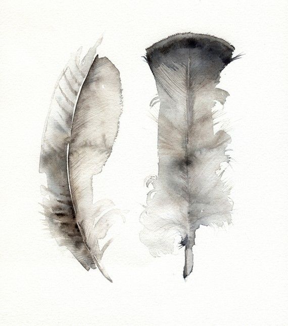570x645 Turkey Feathers Original Watercolor Painting Watercolor