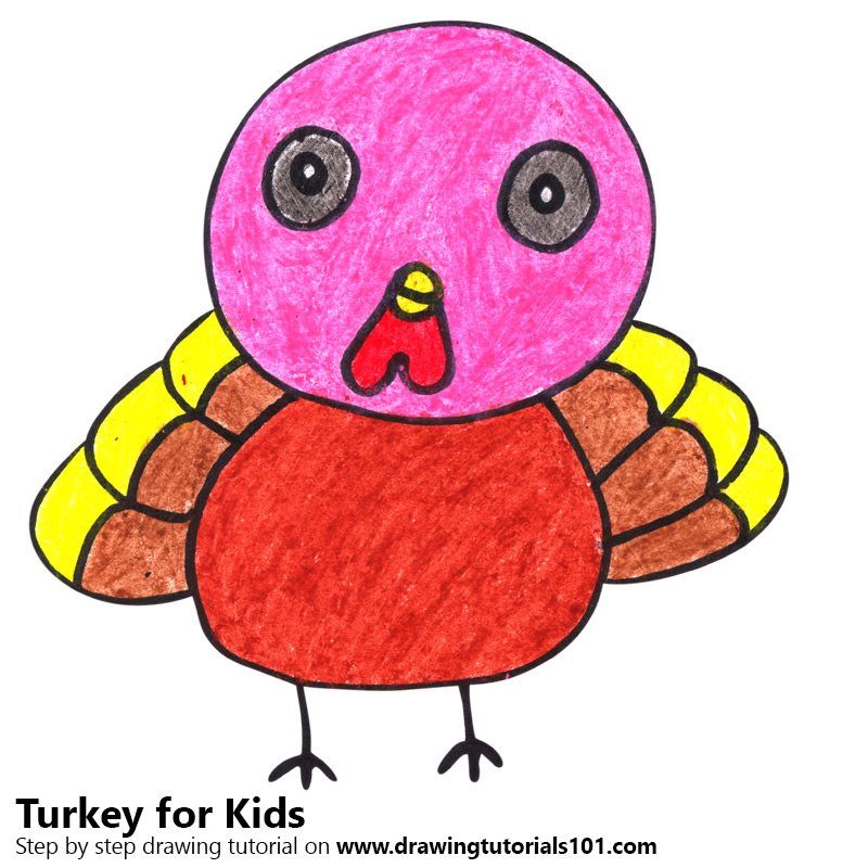 800x800 Learn How To Draw A Turkey For Kids (Animals For Kids) Step By