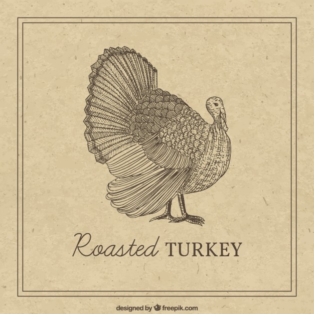 626x626 Hand Drawn Thanksgiving Turkey In Retro Style Vector Premium