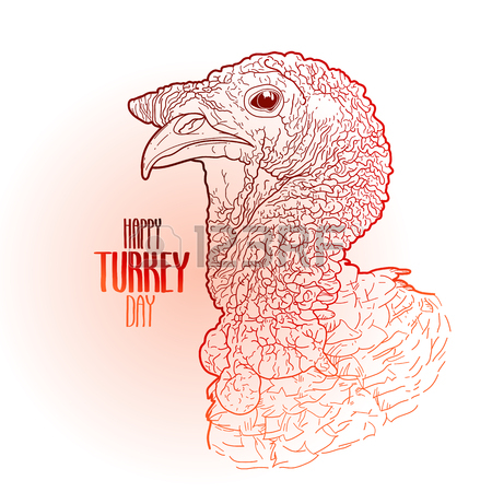 450x450 Vector Turkey Head Drawn In Line Art Style. Thanks Giving Day