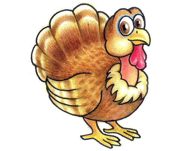 600x500 Drawing Of A Turkey Drawn Turkey Thanksgiving Drawings Drawing