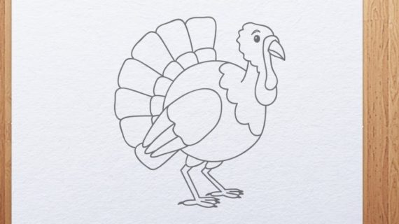 570x320 How To Draw A Turkey How To Draw A Chibi Turkey For Kids Step Step