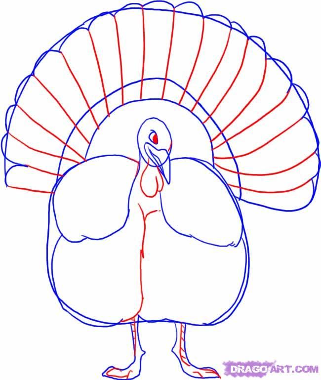 650x769 How To Draw A Thanksgiving Turkey Step 3 Cmc Window Ideas