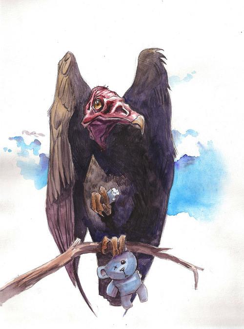 500x675 Sold! Turkey Vulture Marc Anderson, Artist Cash Art All