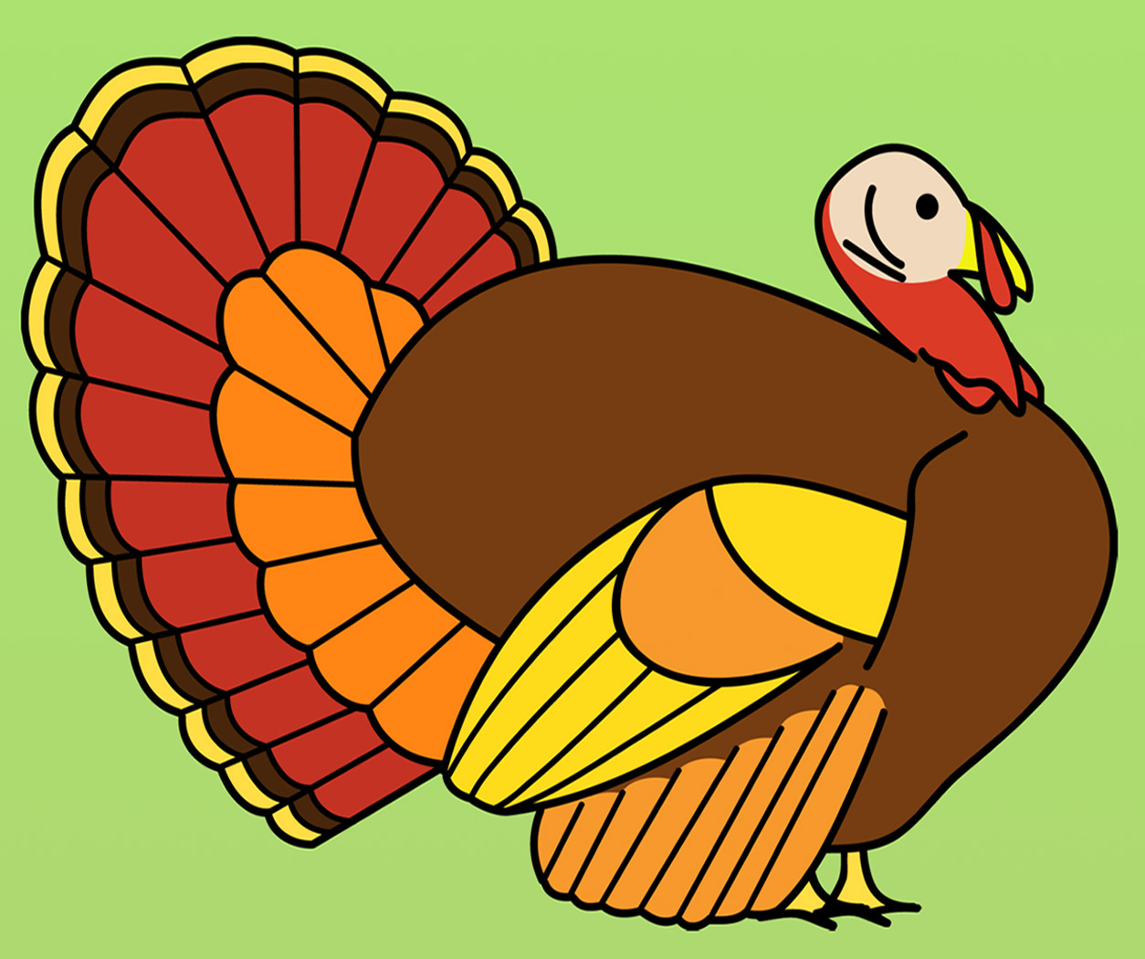 1254x1050 Spotlight Color Of Turkeys A Turkey 3779