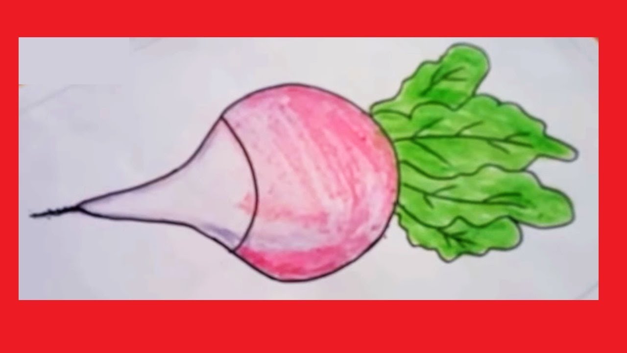 1280x720 How To Draw Turnip Easily, Kids Drawing,turnip Drawing With Basic