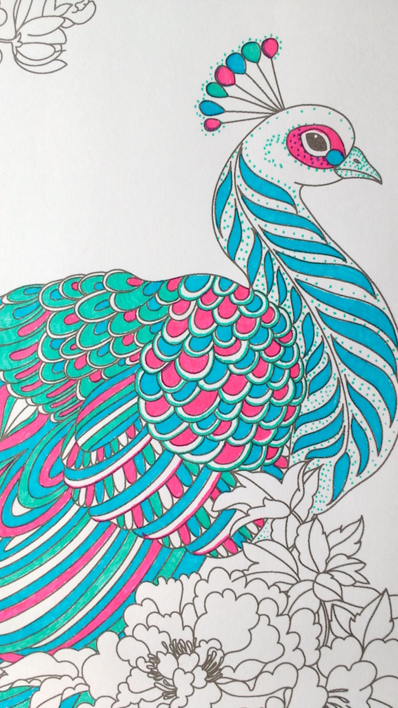 567x1008 Step By Step Coloring Peacock Feathers