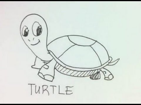 480x360 How To Draw A Cartoon Turtle