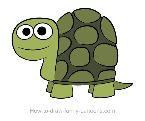 500x417 Turtle Drawings (Sketching + Vector)