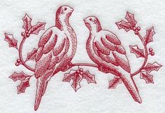 236x161 Turtle Dove Drawing