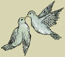250x221 Two Turtle Doves Meaning Pictures To Pin