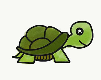 340x270 Turtle Drawing Etsy