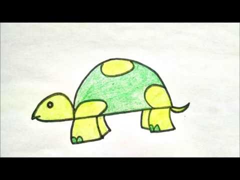 480x360 How To Draw A Turtle