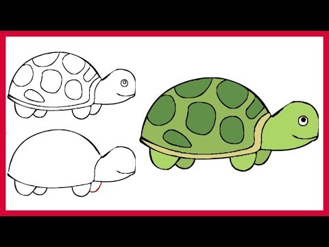 480x360 How To Draw A Turtle Easy Simple Step By Step For Kids
