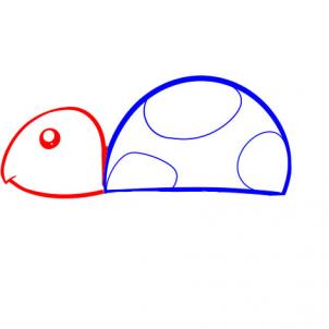 302x302 How To Draw How To Draw A Turtle For Kids