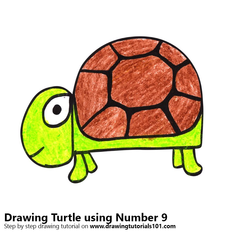800x800 Learn How To Draw A Turtle Using Number 9 (Animals With Numbers