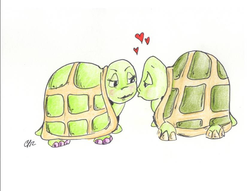825x637 Turtle Love Happy Anniversary Drawing Card Comes With Envelope