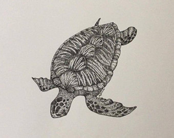 340x270 Turtle Drawing Etsy
