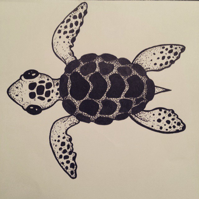 Turtle Image Drawing at GetDrawings | Free download