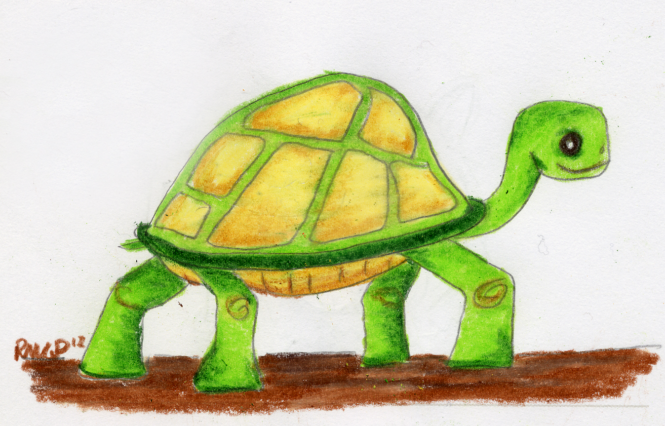 1347x863 Turtle Drawing Art Of My Mind