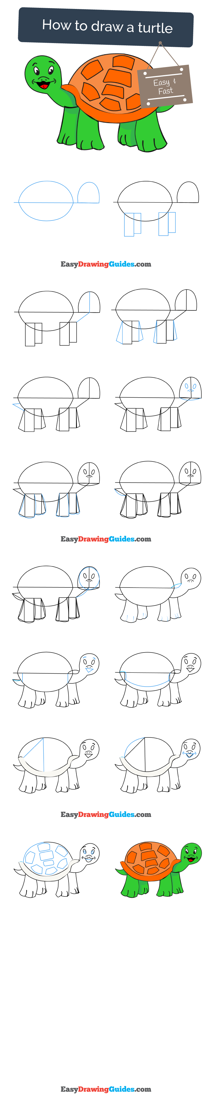 736x3810 How To Draw A Turtle Easy Simple Guide Turtle, Draw