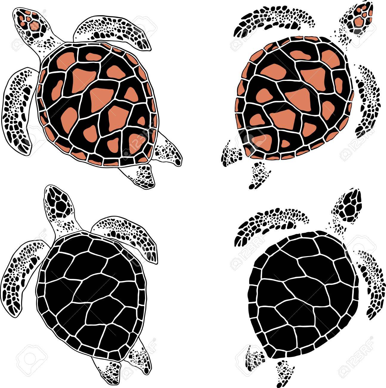 1295x1300 Set Of Four Turtles In Various Coloring And Drawing Royalty Free