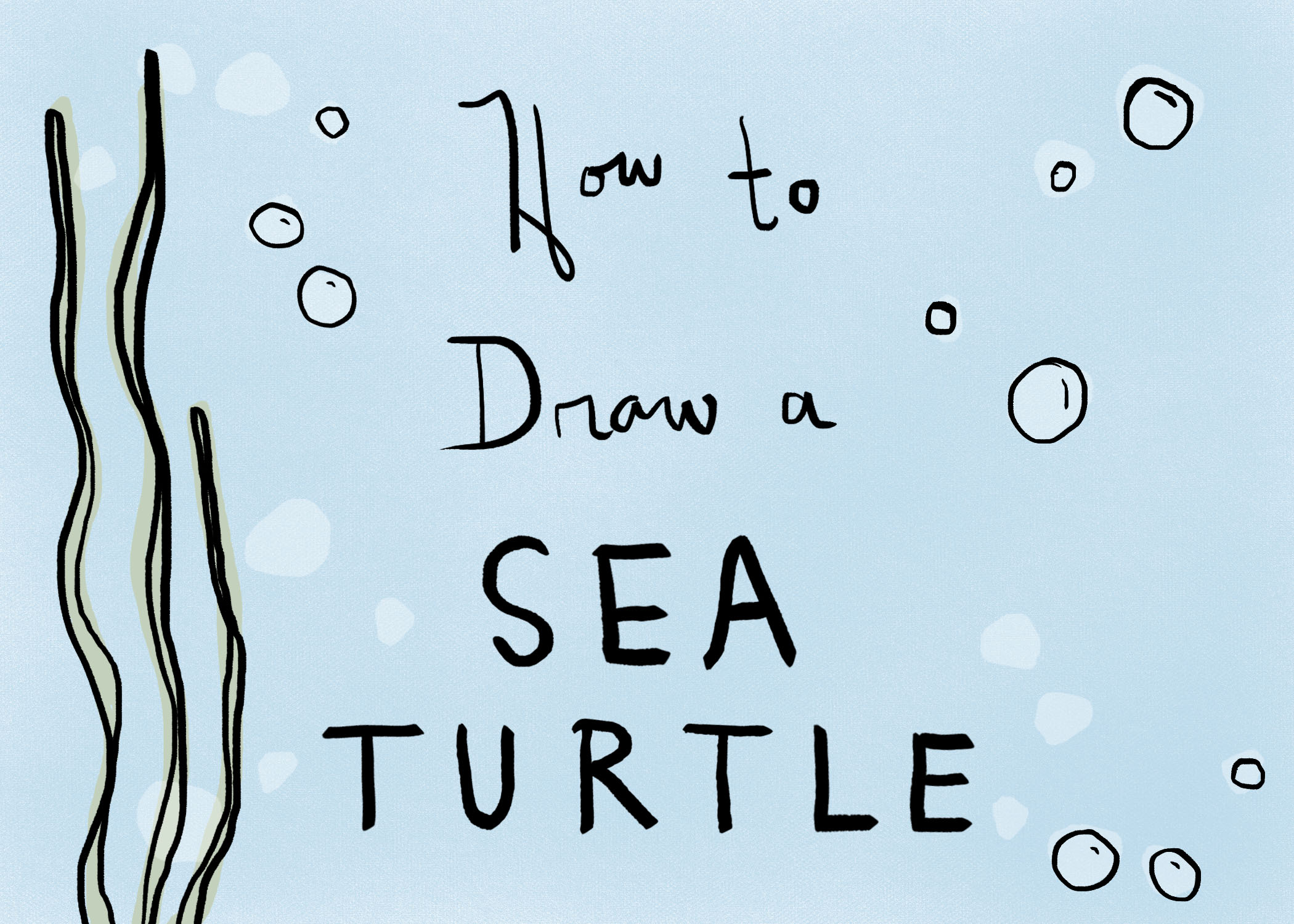 2100x1500 How To Draw A Sea Turtle Catazoa Studio