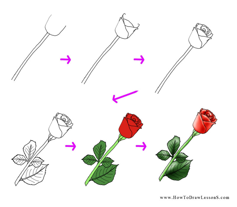 800x700 How To Draw A Flower Tutorial Easy Hand Draw Flowers Easy On Any