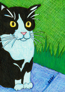 211x300 Tuxedo Cat Drawings Fine Art America