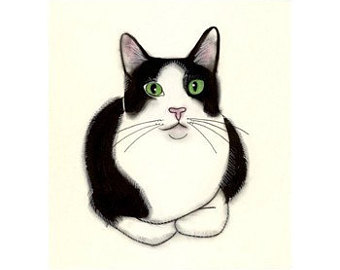How To Draw A Tuxedo Cat Step By Step