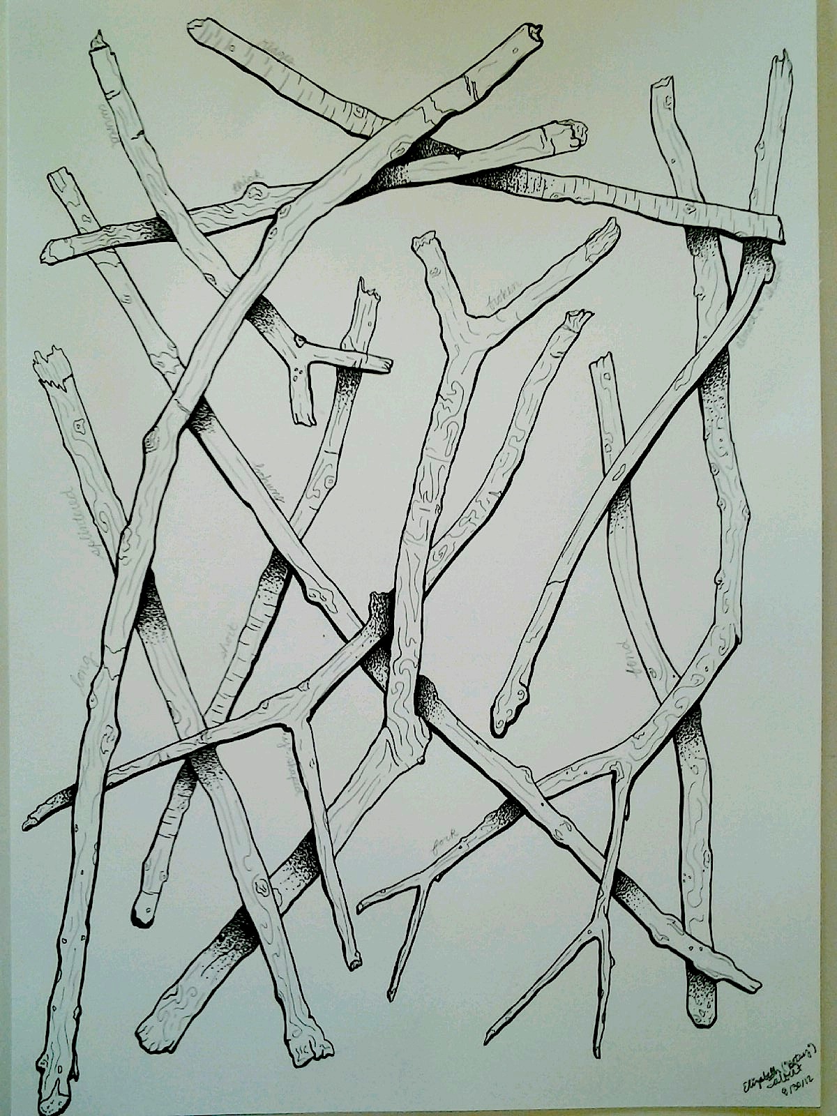 1200x1600 Final Twig Drawing Betsytalbert