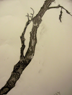 244x320 Phs Art Room Twig Drawings Finding Beauty In Simple Objects