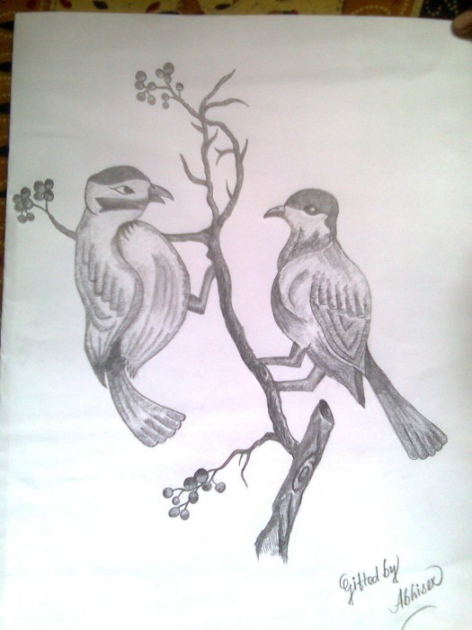 525x700 Pencil Sketch Of Two Birds