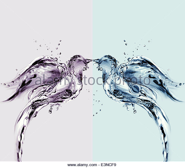 594x540 Two Birds Stock Photos Amp Two Birds Stock Images