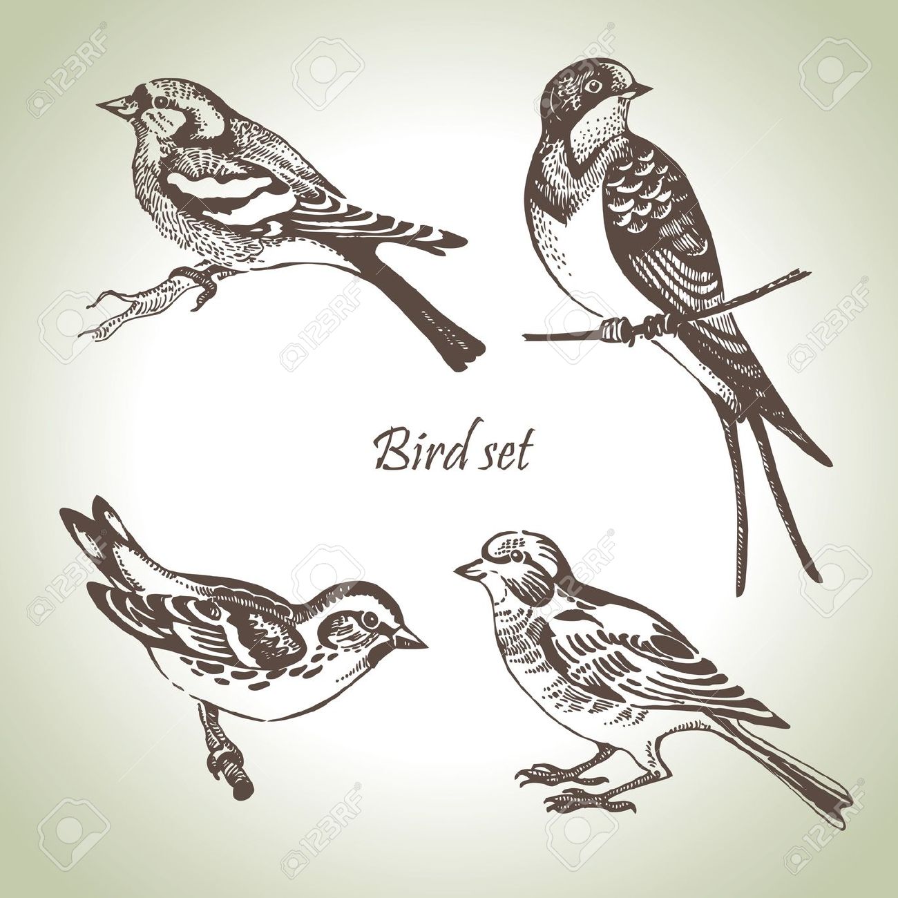 1300x1300 Two Birds On A Branch Drawing