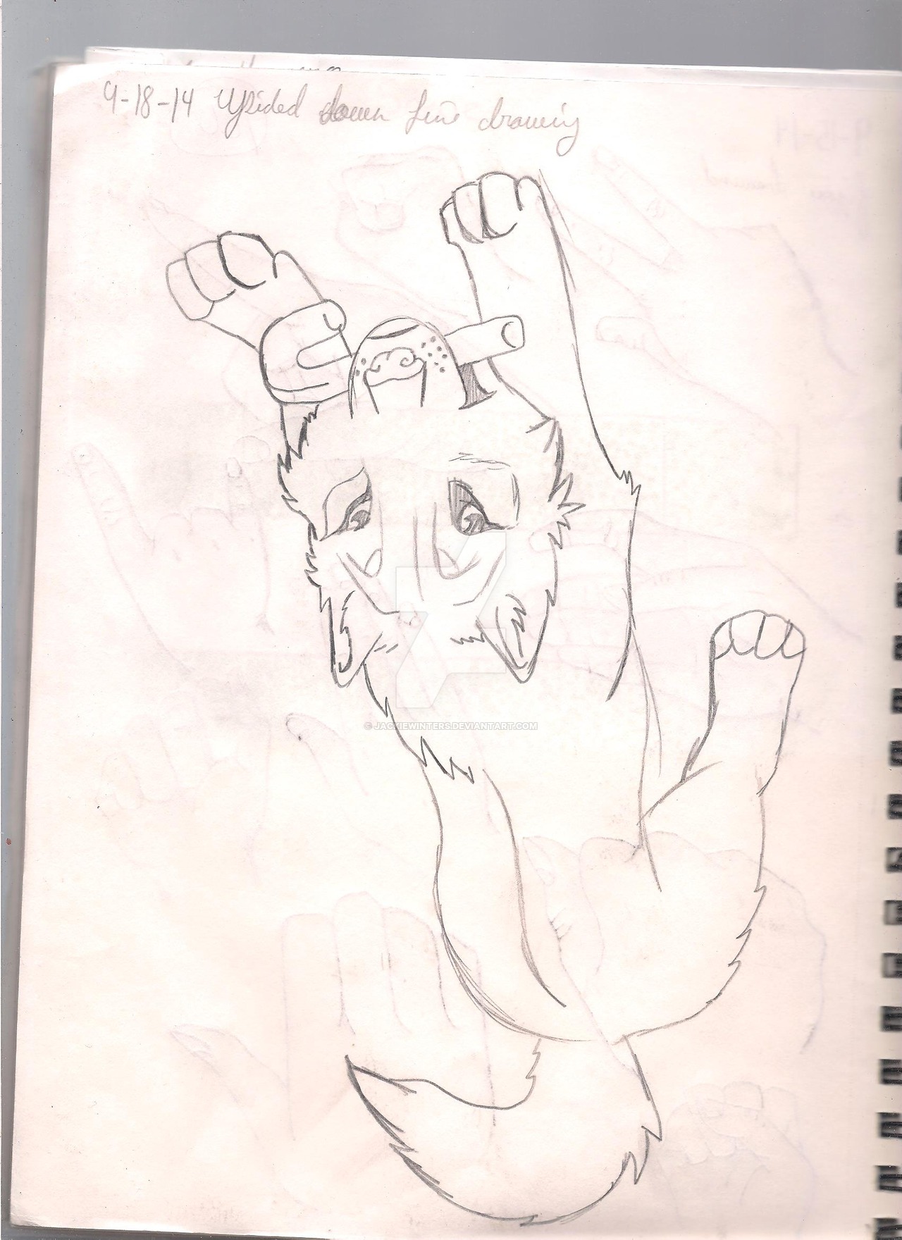 1280x1760 Photos Two Drawings In One,