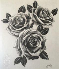 236x276 Black Rose Drawing Tattoo Black Rose Designs Rose Black And White