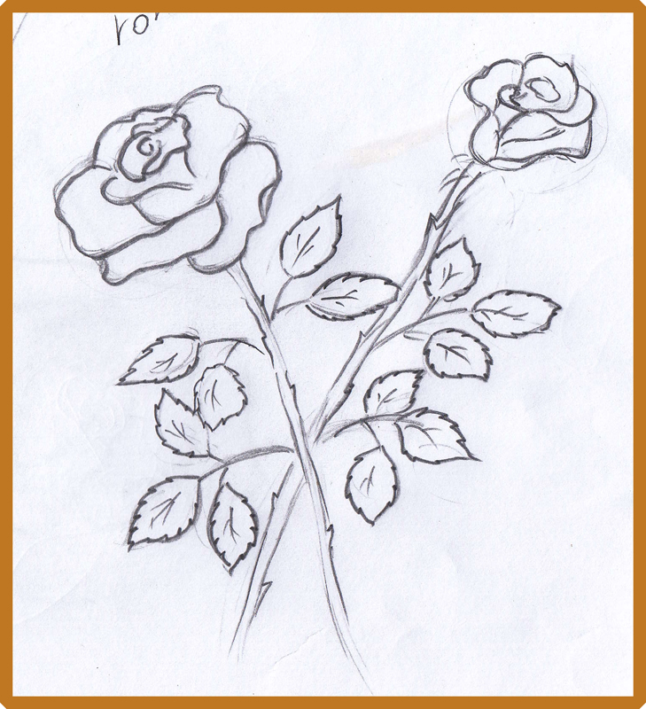 729x800 Weekly Doodles And Tuts How To Draw A Rose Additional Links