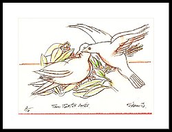 250x193 Two Turtle Doves Drawing By Kippax Williams