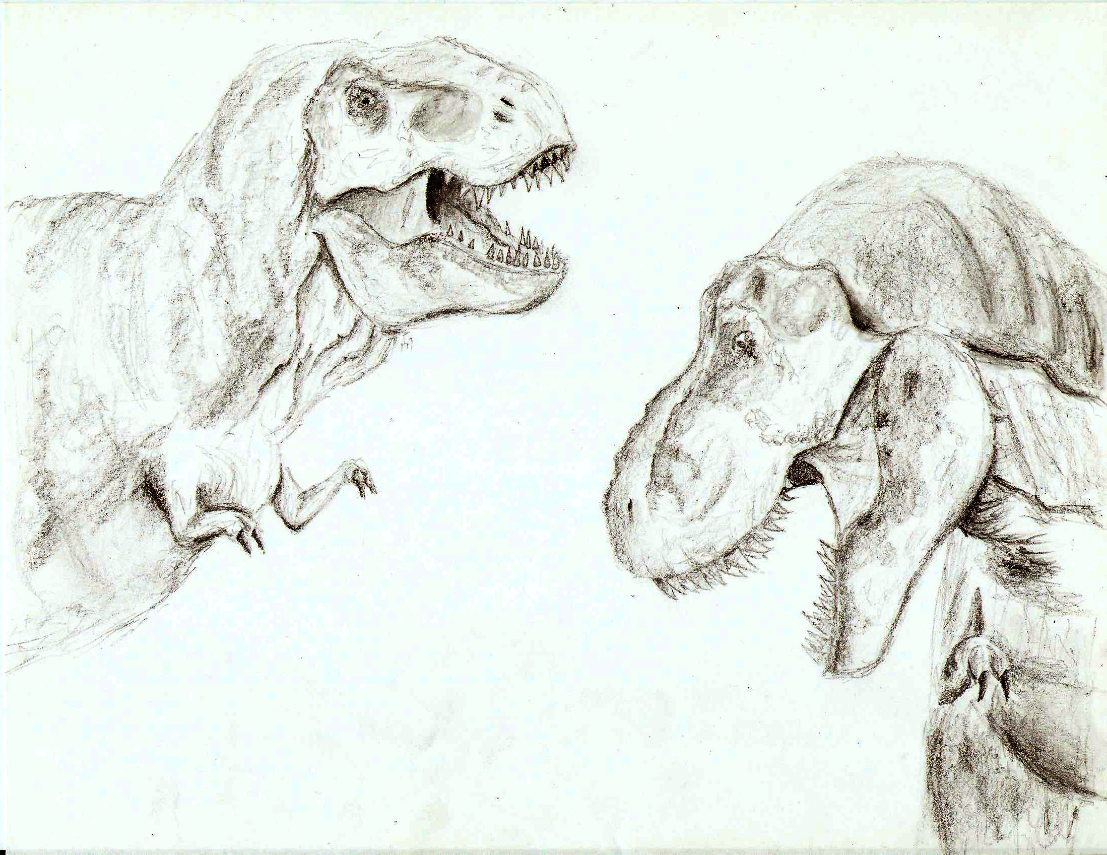 2197x1697 T Rex Drawing